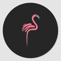 Flamingo - FLG Session #1