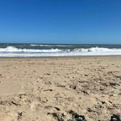 landslide by the chicks (ft. my sister)