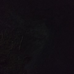 Smoke Gang Featuring  Racko