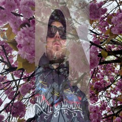 bloom2decæy [Ω]