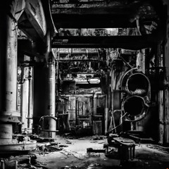 Echoes of robots
