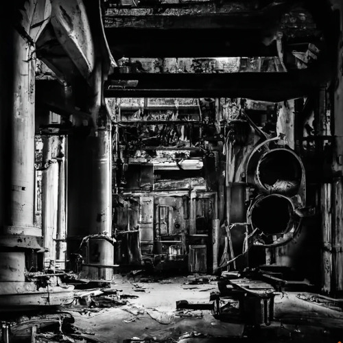 Echoes of robots