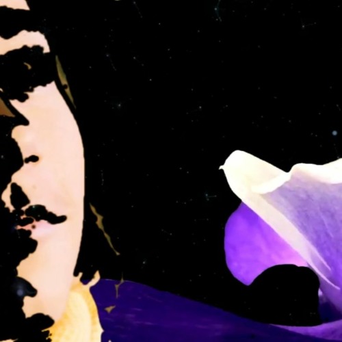 Prince and Cosmic Princess / Transformation EP