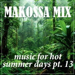 MAKOSSA MIX - Music For Hot Summer Days Pt.13