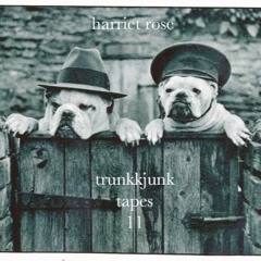 TRUNK JUNK TAPES 11 - little bitty rnb/garage mix <3 2020