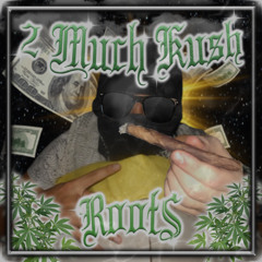 2 MUCH KU$H