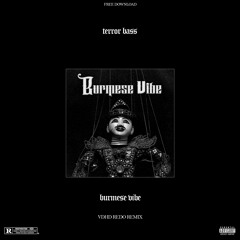 TERROR BASS - Burmese Vibe (VDHD REDO REMIX)