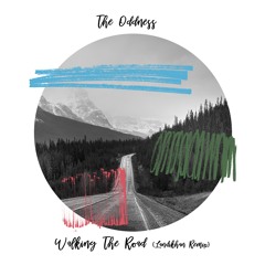 The Oddness - Walking The Road (Landikhan Remix) [trndmsk]