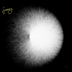 jasny 1