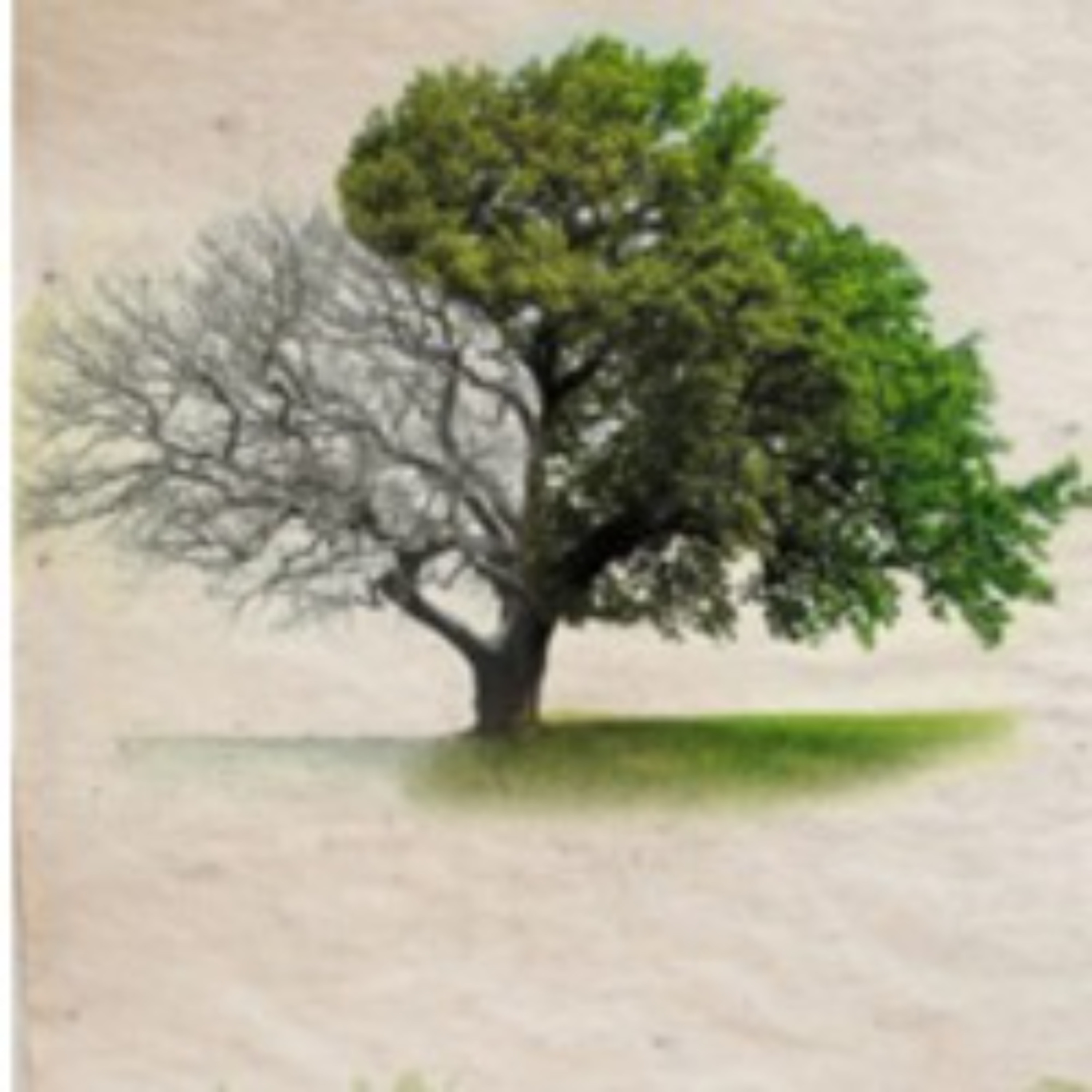 2 Peter 1:1-11 | Growing in the Grace and Knowledge of Jesus | Jeremy Cobb (5.19.2024) episode artwork