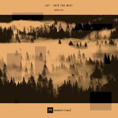 LKY -  Into The Mist EP [Newrhythmic Recs]