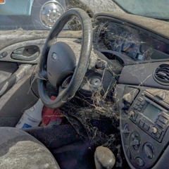 Let the machine answer