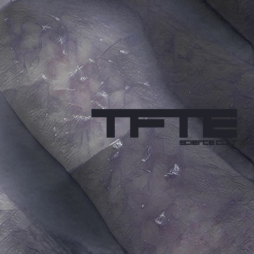 Transmissions From The Ergosphere 016