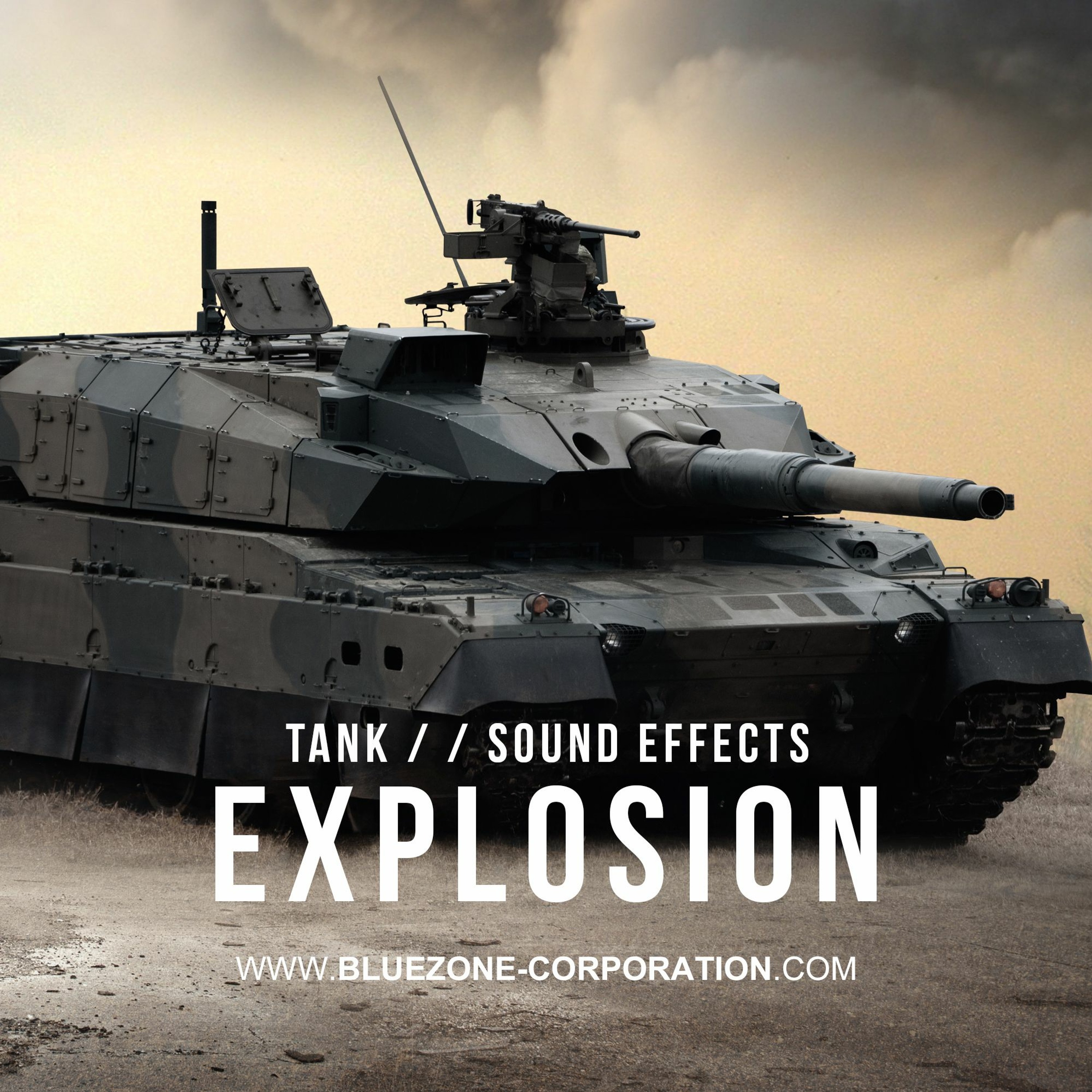 Bluezone Corporation