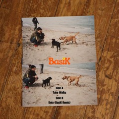 Premiere: BasiK - Take Walks