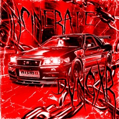 INCINERATE