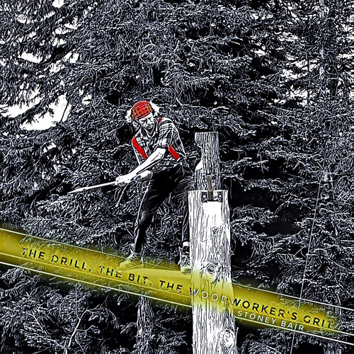 "The Drill, the Bit, and the Woodworker's Grit" by Stoney Bair