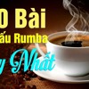 100 Bài Hòa Tấu Rumba Hay Nhất Nhạc Không Lời - The best Rumba instrumental music without lyrics