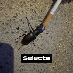 Selecta (Free Download)