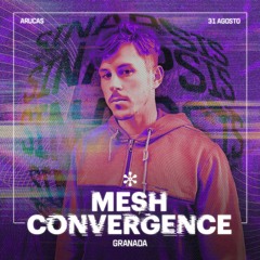 Mesh Convergence @ Sinapsis #02