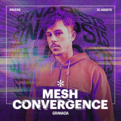 Mesh Convergence @ Sinapsis #02