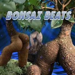 Bonsai Beats