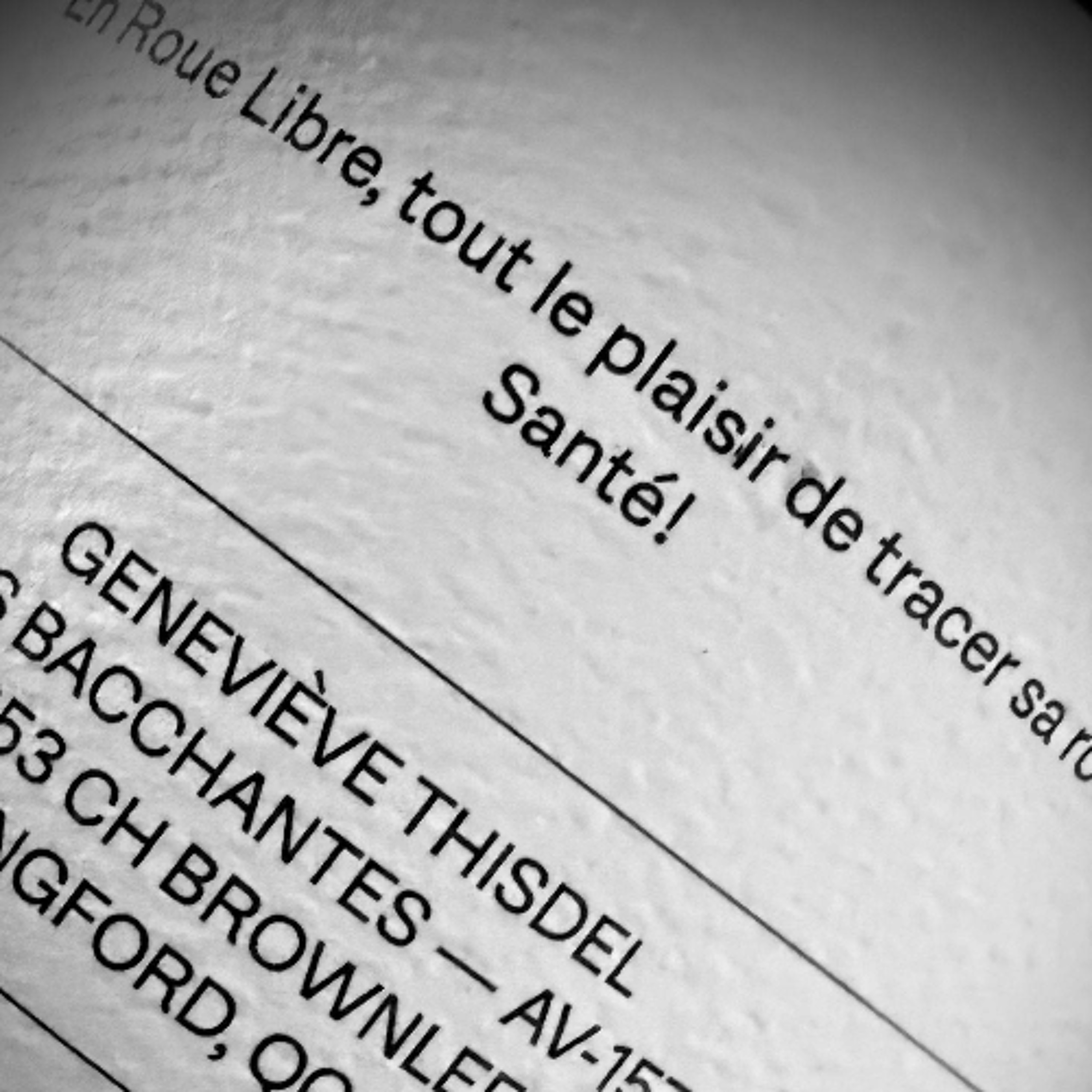 David Large - Du beaujo dans les propos - Avec Geneviève Thisdel