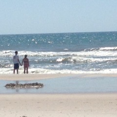 driftwood