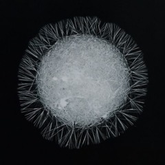 Immutek Vs. Totenkore - We're Like Cocaïne