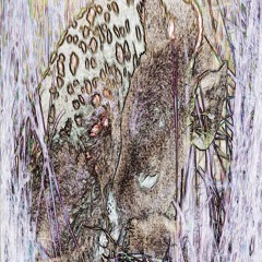 All I Can See Is Concrete