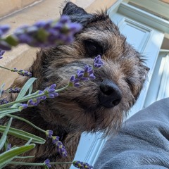 William Daniel x Trancefest 2025 x SWG3 Glasgow