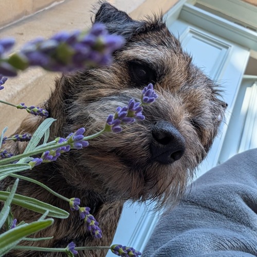 William Daniel x Trancefest 2025 x SWG3 Glasgow