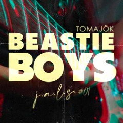 So What'Cha Want (beastie boys cover)