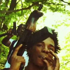 Swerve Yo Scatt - FTO Crazy