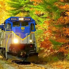 Review Special Price Saratoga And North Creek Fall Foliage Scenic Train Ride