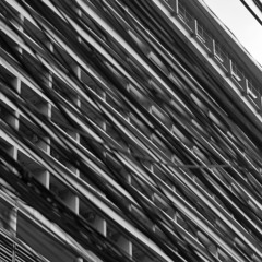 Disaster [LIVE MACHINE - MENTAL]