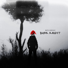 dark knight