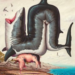 Minimal rollers volume 3