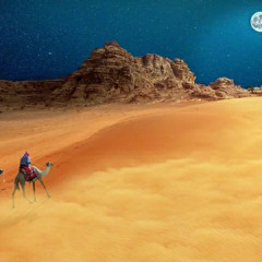 Moonlight (PROD. BRADLEYMOON)