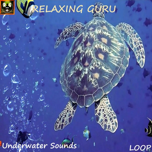 UNDERWATER SOUNDS - Deep Sea Sound for Sleep, Study, Relax - LOOP