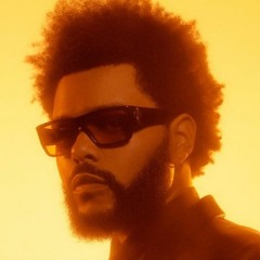 DISC NOTAS LUNES 19 DE DICIEMBRE 2022