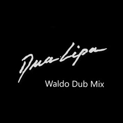 Dua Lipa - Love Again (Waldo Dub Remix Version)