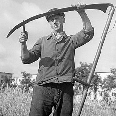 Ant tėvo dalgio ašmenų