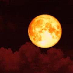 speed!  (prod.ayyjp)