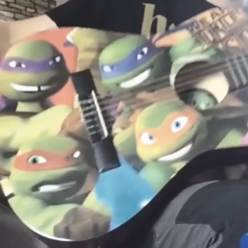 Death by Mutant Turtles