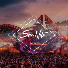 Pink - A Million Dreams (Sean Nata Remix)