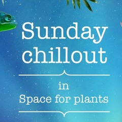 Chill Out Sunday @ SfP / by ReWaved