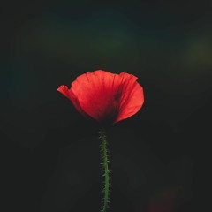 Mae Stephens - If We Ever Broke Up - JOI Remix