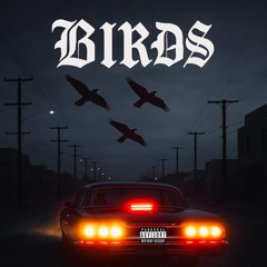 Birds PROD. DXADTMR