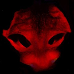 Resident Alien - Prod. by DJ Obsolete